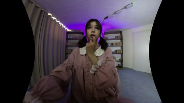 Vr Webcam Video 180latlong 742