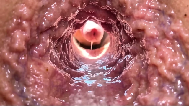 What It's Like To Be Inside An Asshole While It's Penetrated !