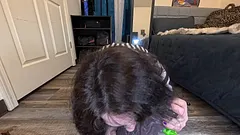 MILF Riding Huge Dildo, Big Tits & Orgasm - Fetishes & Cosplay