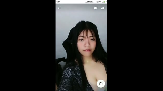 Fly 3