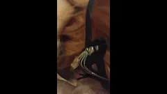 The whore loves sucking cock