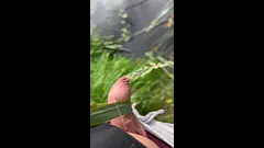 Two More Outdoor Piss for You Uncut Dick