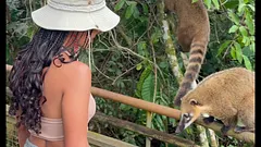Jóven indígena de las cataratas de iguazu hace sexo oral y folla en la selva